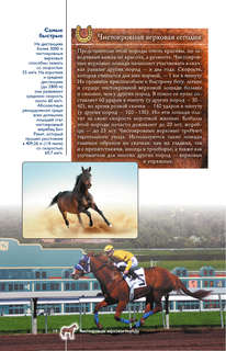 Лошади: Иллюстрированный гид 14