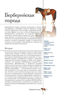Лошади: Иллюстрированный гид 15