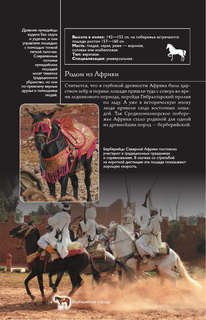 Лошади: Иллюстрированный гид 16