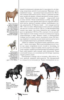 Лошади: Иллюстрированный гид 4