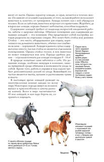 Лошади: Иллюстрированный гид 5