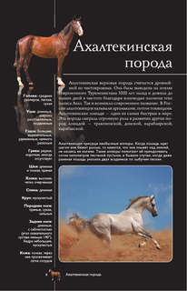 Лошади: Иллюстрированный гид 6
