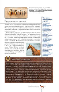Лошади: Иллюстрированный гид 7