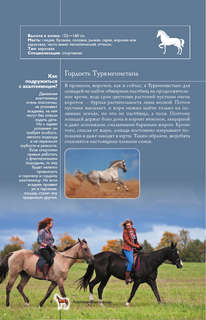 Лошади: Иллюстрированный гид 8