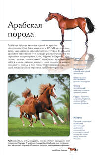 Лошади: Иллюстрированный гид 9