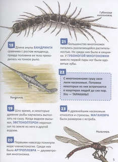 Динозавры: Энциклопедия российского школьника, 250 фактов 3