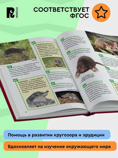 Красная книга: Энциклопедия российского школьника, 250 фактов 7