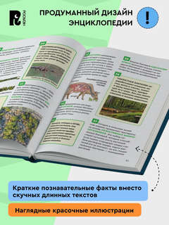 Микромир: Энциклопедия российского школьника, 250 фактов 8