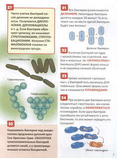 Микромир: Энциклопедия российского школьника, 250 фактов 4