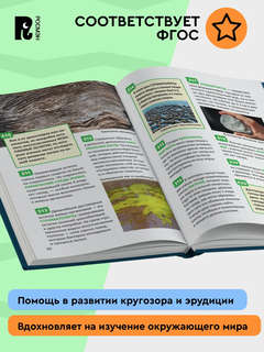 Микромир: Энциклопедия российского школьника, 250 фактов 10