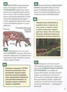 Микромир: Энциклопедия российского школьника, 250 фактов 5