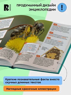 Насекомые: Энциклопедия российского школьника, 250 фактов 8