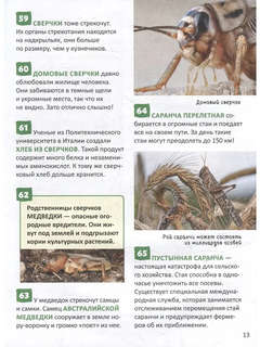 Насекомые: Энциклопедия российского школьника, 250 фактов 4