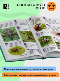 Насекомые: Энциклопедия российского школьника, 250 фактов 10