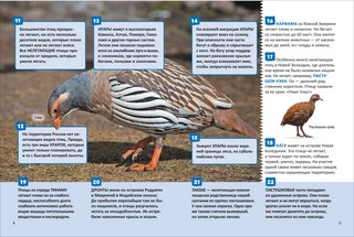 Птицы: Энциклопедия российского школьника, 250 фактов 3