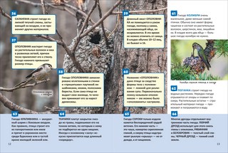 Птицы: Энциклопедия российского школьника, 250 фактов 4