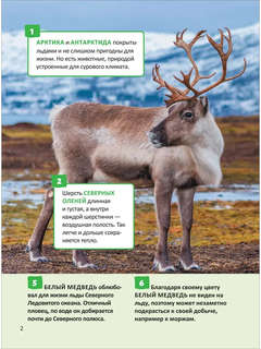 Удивительные животные: Энциклопедия российского школьника, 250 фактов 6