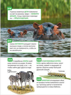 Удивительные животные: Энциклопедия российского школьника, 250 фактов 10