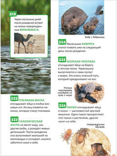 Удивительные животные: Энциклопедия российского школьника, 250 фактов 11