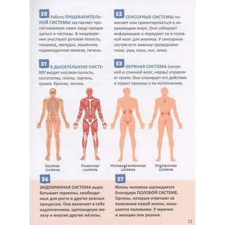 Человек: Энциклопедия российского школьника, 250 фактов 3
