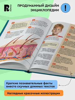 Человек: Энциклопедия российского школьника, 250 фактов 7