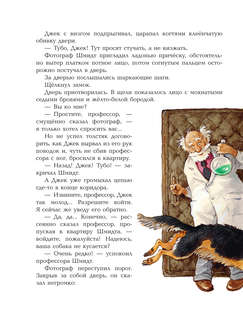 Необыкновенные приключения Карика и Вали 13