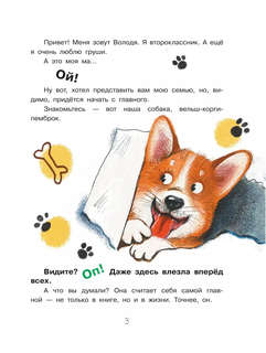 Улисс и носочная фея: Детские художественные книги 4