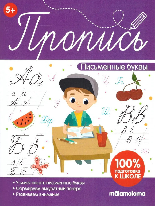 Письменные буквы, Пропись, 100% подготовка к школе