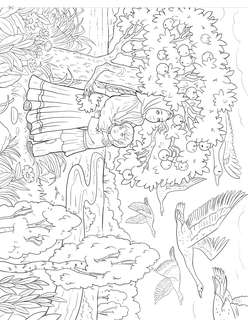 Русские народные сказки (мой самый большой альбом раскрасок) 3