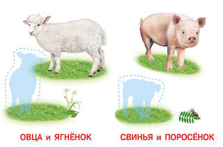 Домашние любимцы: Аппликация и карточки Мамы и малыши 2