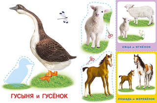 Домашние любимцы: Аппликация и карточки Мамы и малыши 3