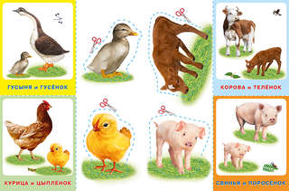 Домашние любимцы: Аппликация и карточки Мамы и малыши 4