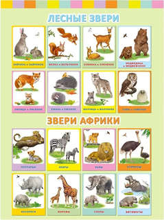 Лесные звери: Аппликация и карточки Мамы и малыши 2