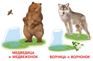 Лесные звери: Аппликация и карточки Мамы и малыши 5