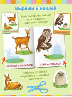 Лесные звери: Аппликация и карточки Мамы и малыши 3