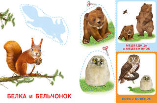 Лесные звери: Аппликация и карточки Мамы и малыши 6