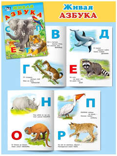 Живая азбука: Учим Буквы 5