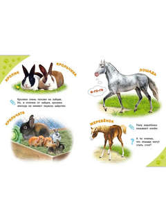 Домашние животные, Энциклопедия для самых маленьких 2