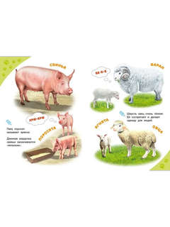 Домашние животные, Энциклопедия для самых маленьких 4