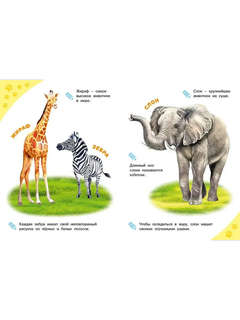 Зоопарк, Энциклопедия для самых маленьких 2