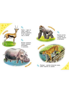Зоопарк, Энциклопедия для самых маленьких 4