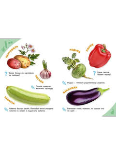Овощи, фрукты, ягоды: Энциклопедия для самых маленьких 4