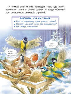 Обитатели льдов: познавательное чтение 4