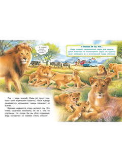 Сафари по Африке: познавательное чтение 2