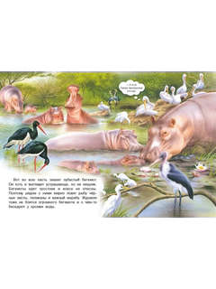 Сафари по Африке: познавательное чтение 3