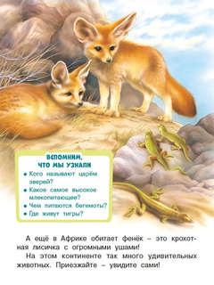 Сафари по Африке: познавательное чтение 4