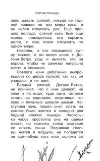 Большая книга про лошадок 8