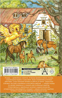 Большая книга про лошадок 2