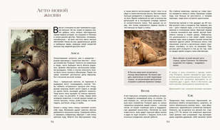 Тайная жизнь леса: Русская природа в фактах и зарисовках 11