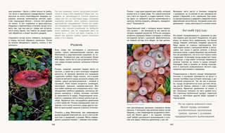 Тайная жизнь леса: Русская природа в фактах и зарисовках 13